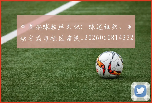 中国排球粉丝文化:球迷组织、互动方式与社区建设_20260608142323