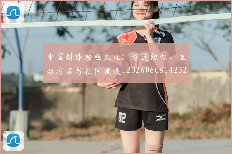 中国排球粉丝文化:球迷组织、互动方式与社区建设_20260608142323